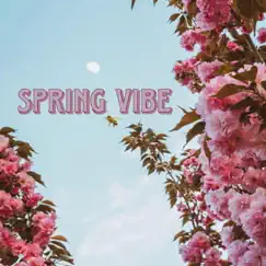 Spring Vibe - Single by Kidhype album reviews, ratings, credits