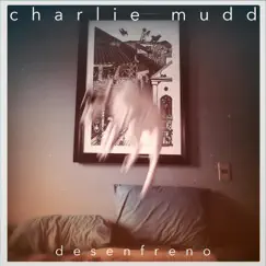 Desenfreno - Single by Charlie Mudd album reviews, ratings, credits