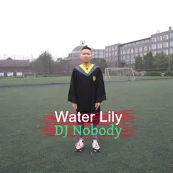 Water Lily - Single by DJ Nobody album reviews, ratings, credits