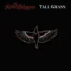 Tall Grass - Single album lyrics, reviews, download