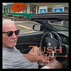 Tush - Single by Kim Lewis album reviews, ratings, credits