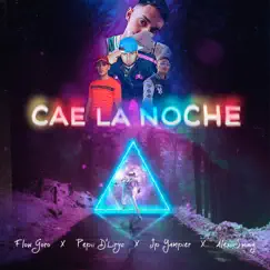 Cae La Noche (feat. Pepii D'lyric, JP Yampier & Alex Swing) - Single by Flow goro album reviews, ratings, credits