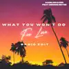 What You Won't Do For Love (Radio Edit) [Radio Edit] - Single album lyrics, reviews, download