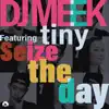 Seize the Day (feat. Tiny) - Single album lyrics, reviews, download