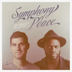 Symphony of Peace (feat. Temitope & Psalmist Mission) Song Lyrics