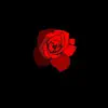 Ramo de rosas - Single album lyrics, reviews, download