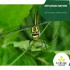 Exploring Nature - The Collection of Nature Music album lyrics, reviews, download