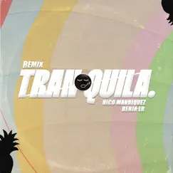 Tranquila (Remix) - Single by Nico Manriquez & Benja LR album reviews, ratings, credits