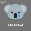 Sad Koala - Single album lyrics, reviews, download