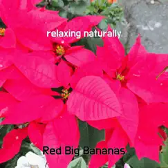 Relaxing Naturally - Single by Red Big Bananas album reviews, ratings, credits