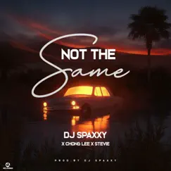 Not the Same (feat. stevie zm & Chong Lee Zm) Song Lyrics