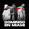 Domingo En Miami - Single album lyrics, reviews, download