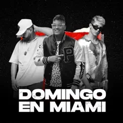 Domingo En Miami - Single by Sann Menna & El Viti Mentende album reviews, ratings, credits