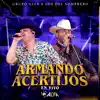 Armando Acertijos (En Vivo) - Single album lyrics, reviews, download