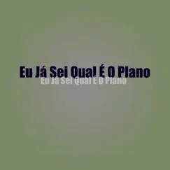 Eu Ja Sei Qual É o Plano (feat. Mcs Nando and Luanzinho) Song Lyrics