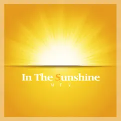 In The Sunshine - Single by M.E.V. album reviews, ratings, credits