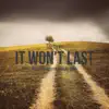 It Won't Last (feat. Kristen Morgan Dirks) - Single album lyrics, reviews, download