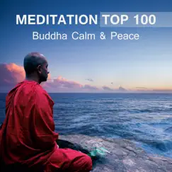 Meditation TOP 100: Buddha Calm & Peace, 7 Chakras Cleansing, Tibetan Chakra Balancing Music Session by Buddha Music Sanctuary album reviews, ratings, credits