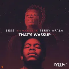 That's Wassup - Single by SESS & Terry Apala album reviews, ratings, credits