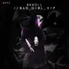 Bad Girl VIP - Single album lyrics, reviews, download