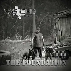 The Foundation by Big Ced album reviews, ratings, credits
