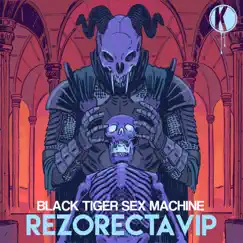 Rezorecta VIP - Single by Black Tiger Sex Machine album reviews, ratings, credits