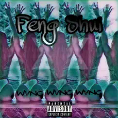 Feng Shui (feat. Apollo & Brody Hendrix) - Single by Us. album reviews, ratings, credits