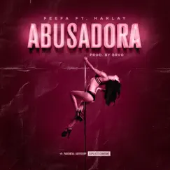 Abusadora (feat. Harlay) Song Lyrics