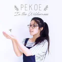 In the Wilderness by Pekoe album reviews, ratings, credits