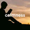 Calmness - Extremely Relaxing New Age Music album lyrics, reviews, download