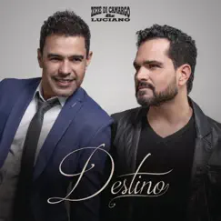 Destino - Single by Zezé Di Camargo & Luciano album reviews, ratings, credits