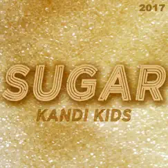 Sugar 2017 (Rob Nunjes Remix) Song Lyrics