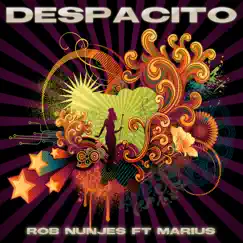 Despacito (feat. Marius) [Acoustic Unplugged Extended Remix] Song Lyrics