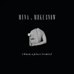 I Know A Place (Remix) - Single by MUNA & Miike Snow album reviews, ratings, credits