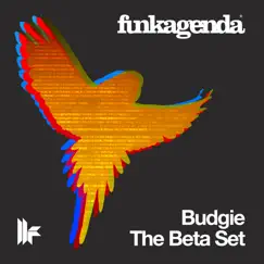 Budgie (Original Club Mix) Song Lyrics