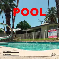 Pool (feat. TopGunn) - Single by Citybois album reviews, ratings, credits