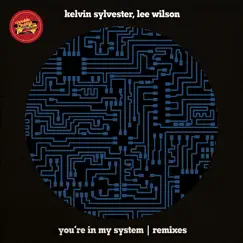 You're in My System (feat. Lee Wilson) [SoulLab Vocal Mix] Song Lyrics