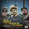 Born and Raised in Cali (feat. Dannyboy, Chris Gomez & Lu) - Single album lyrics, reviews, download