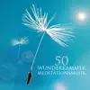 Wunderkammer Meditationsmusik - 50 Beruhigende Musik Ambient für Yoga, Meditation, Entspannung und Gesunden Schlaf album lyrics, reviews, download