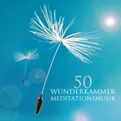 Wunderkammer Meditationsmusik - 50 Beruhigende Musik Ambient für Yoga, Meditation, Entspannung und Gesunden Schlaf by Meister der Schlaflieder album reviews, ratings, credits