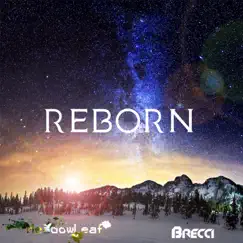 Reborn - Single by Brecci & Meadowleaf album reviews, ratings, credits