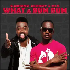 What a Bum Bum (feat. MLK) - Single by Gambino Akuboy album reviews, ratings, credits