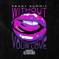 Without Your Love - Single by Kenny Summit album reviews, ratings, credits
