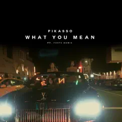 What You Mean (feat. Forte Bowie) - Single by Pikasso album reviews, ratings, credits