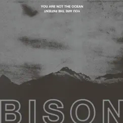 You Are Not the Ocean You Are the Patient by Bison B.C. album reviews, ratings, credits
