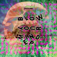 Blow Your Mind (L!ght L!nes Remix) Song Lyrics