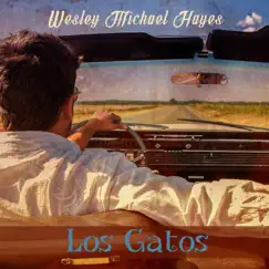 Los Gatos - Single by Wesley Michael Hayes album reviews, ratings, credits