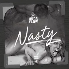 Nasty - Single by Undaflow album reviews, ratings, credits