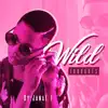 Wild Thoughts - Single album lyrics, reviews, download