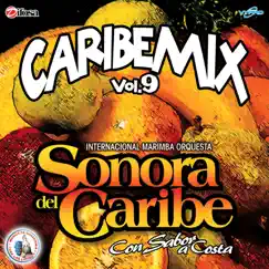 Mix Caribe Zarabanda 9: De Cantina en Cantina / Los Ojos de Pancha / Cariñito de Mi Vida / Besos y Cerezas Song Lyrics